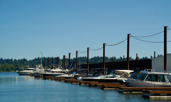 wide shot of harbor 1 with boats
