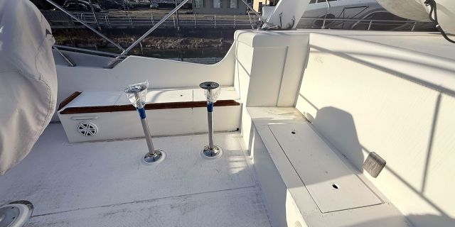 1988 SeaRanger 46 Moon River