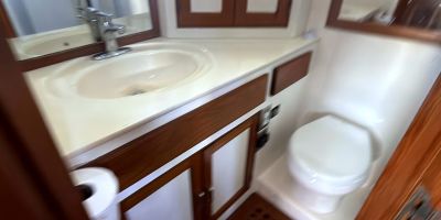 1988 SeaRanger 46 Moon River