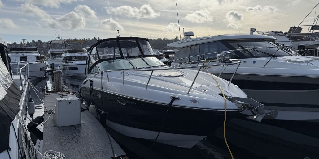 Photo of a 2009 Crownline 270 CR