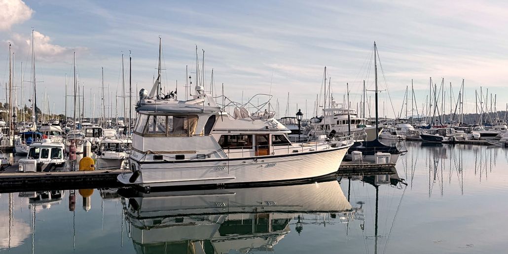Photo of a 1988 SeaRanger 46