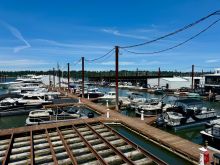 harbor 1