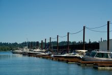 wide shot of harbor 1 with boats